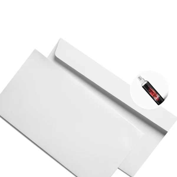 K2 Paper Judgment and Commitment Order